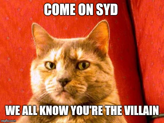 Suspicious Cat Meme | COME ON SYD WE ALL KNOW YOU'RE THE VILLAIN | image tagged in memes,suspicious cat | made w/ Imgflip meme maker