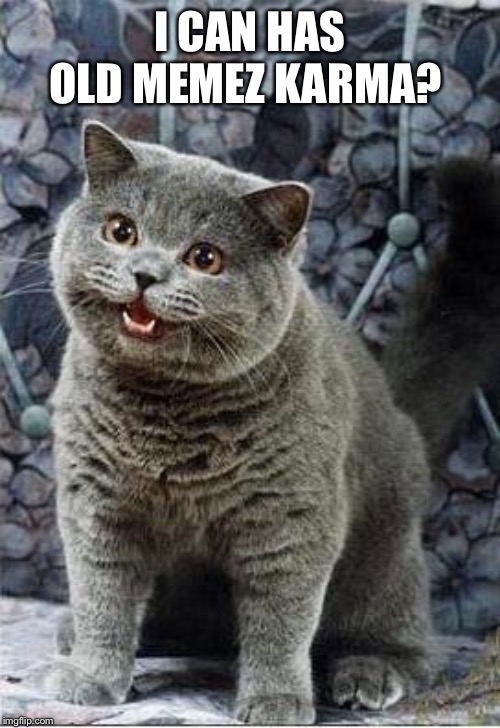 I can has cheezburger cat | I CAN HAS
OLD MEMEZ KARMA? | image tagged in i can has cheezburger cat | made w/ Imgflip meme maker