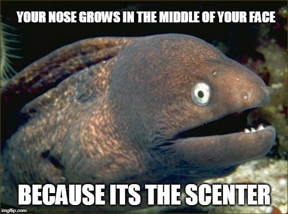 Bad Joke Eel | YOUR NOSE GROWS IN THE MIDDLE OF YOUR FACE; BECAUSE ITS THE SCENTER | image tagged in memes,bad joke eel | made w/ Imgflip meme maker