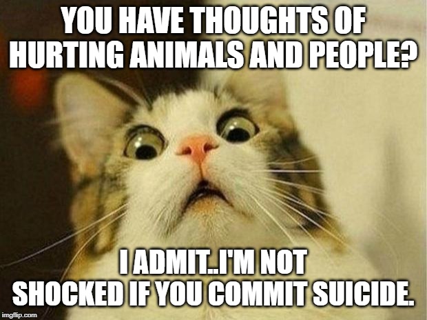 Scared Cat Meme | YOU HAVE THOUGHTS OF HURTING ANIMALS AND PEOPLE? I ADMIT..I'M NOT SHOCKED IF YOU COMMIT SUICIDE. | image tagged in memes,scared cat | made w/ Imgflip meme maker