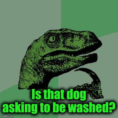 Philosoraptor Meme | Is that dog asking to be washed? | image tagged in memes,philosoraptor | made w/ Imgflip meme maker
