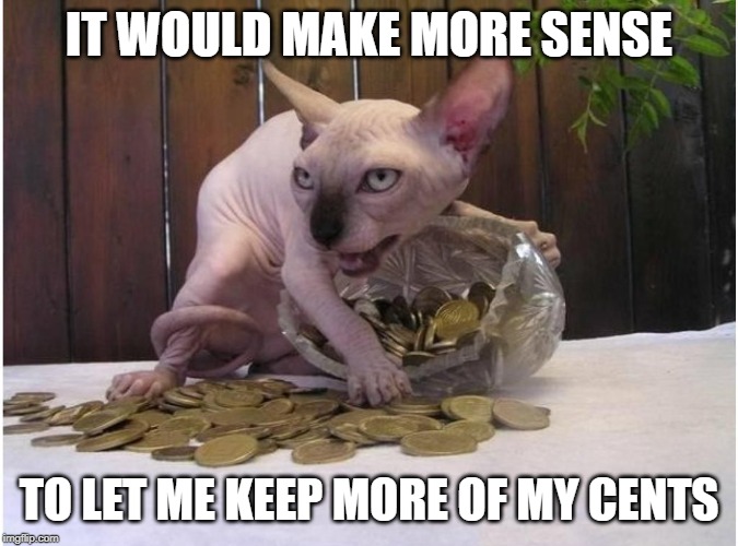 Hairless cat hoarding precious coins | IT WOULD MAKE MORE SENSE TO LET ME KEEP MORE OF MY CENTS | image tagged in hairless cat hoarding precious coins | made w/ Imgflip meme maker