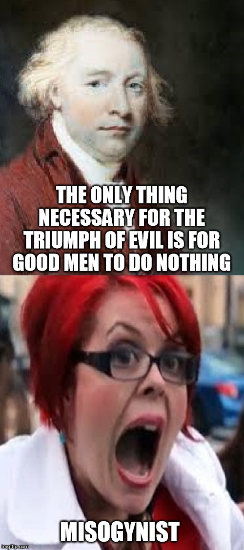 THE ONLY THING NECESSARY FOR THE TRIUMPH OF EVIL IS FOR GOOD MEN TO DO NOTHING; MISOGYNIST | image tagged in triggered feminist,angry feminist,liberal logic,stupid liberals,libtards,democrats | made w/ Imgflip meme maker