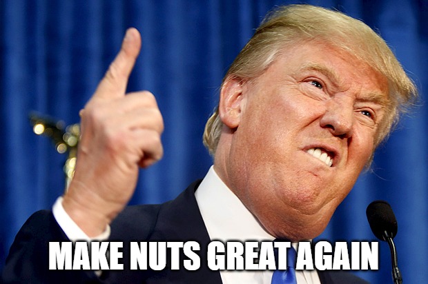 Donald Trump | MAKE NUTS GREAT AGAIN | image tagged in donald trump | made w/ Imgflip meme maker