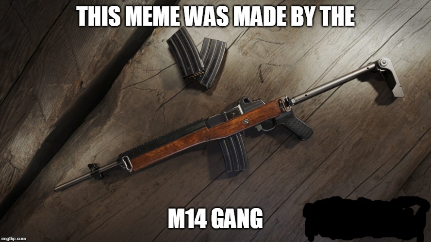 M14 | THIS MEME WAS MADE BY THE M14 GANG | image tagged in m14 | made w/ Imgflip meme maker