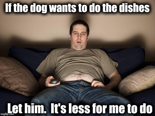 lazy fat guy on the couch | If the dog wants to do the dishes Let him.  It's less for me to do | image tagged in lazy fat guy on the couch | made w/ Imgflip meme maker