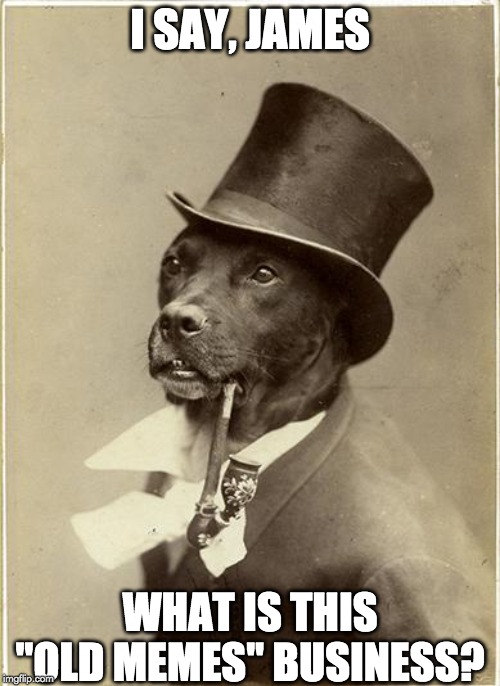 Old Money Dog | I SAY, JAMES; WHAT IS THIS "OLD MEMES" BUSINESS? | image tagged in old money dog,AdviceAnimals | made w/ Imgflip meme maker