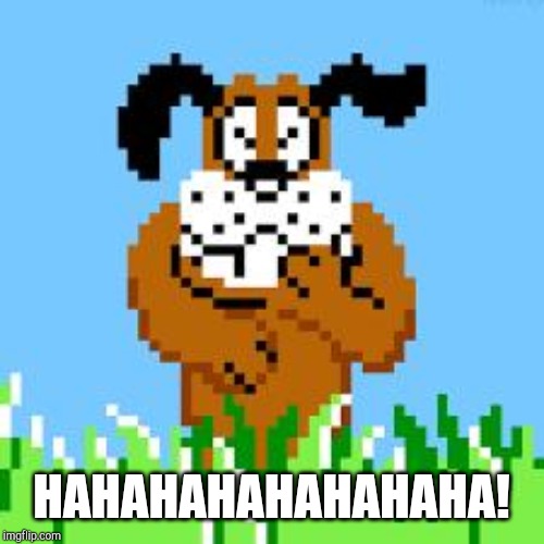 DUCK HUNT DOG LAUGHS AT YOUR STUPIDITY | HAHAHAHAHAHAHAHA! | image tagged in duck hunt dog laughs at your stupidity | made w/ Imgflip meme maker