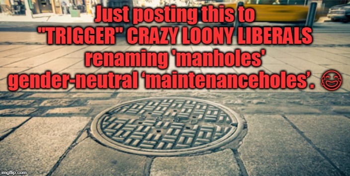 Triggering Liberals (one meme at a time)... | Just posting this to "TRIGGER" CRAZY LOONY LIBERALS renaming 'manholes' gender-neutral ‘maintenanceholes’.  😂 | image tagged in politics,political meme,political | made w/ Imgflip meme maker
