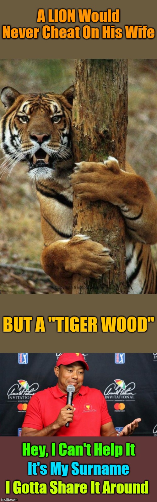 Maybe His Name Should Have Been "Tiger Cheetah Woods" Tiger Week 3, July 27 - August 2 2019, a TigerLegend1046 event | A LION Would Never Cheat On His Wife; BUT A "TIGER WOOD"; Hey, I Can't Help It; It's My Surname; I Gotta Share It Around | image tagged in tiger woods,tiger week 3,tiger,tigerlegend1046,memes,cats | made w/ Imgflip meme maker