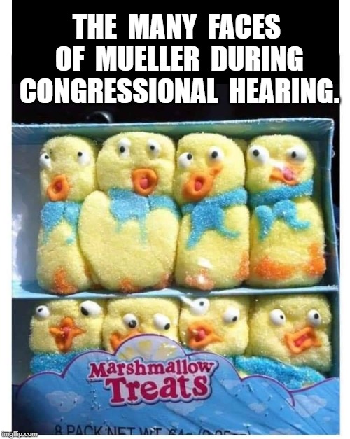 Muellers Folly | THE  MANY  FACES  OF  MUELLER  DURING  CONGRESSIONAL  HEARING. | image tagged in funny,meme | made w/ Imgflip meme maker