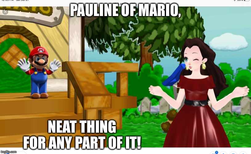 P and m | PAULINE OF MARIO, NEAT THING FOR ANY PART OF IT! | image tagged in p and m | made w/ Imgflip meme maker