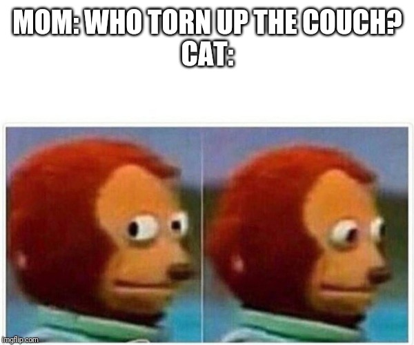 Monkey Puppet Meme | MOM: WHO TORN UP THE COUCH?

CAT: | image tagged in monkey puppet | made w/ Imgflip meme maker