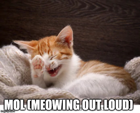 MOL (MEOWING OUT LOUD) | made w/ Imgflip meme maker