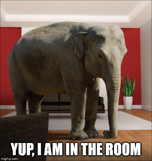 We use this saying but what do you do when it really happens? | YUP, I AM IN THE ROOM | image tagged in elephant in the room | made w/ Imgflip meme maker