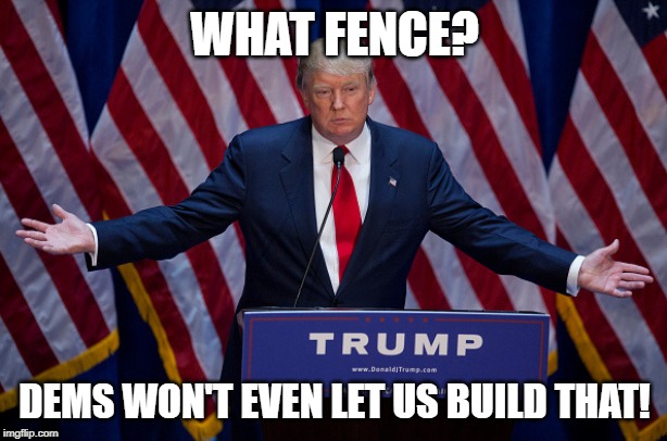 Trump Bruh | WHAT FENCE? DEMS WON'T EVEN LET US BUILD THAT! | image tagged in trump bruh | made w/ Imgflip meme maker