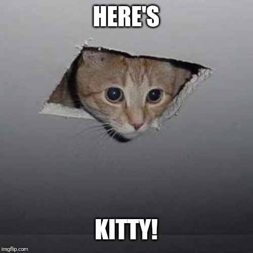 Ceiling Cat | HERE'S; KITTY! | image tagged in memes,ceiling cat | made w/ Imgflip meme maker