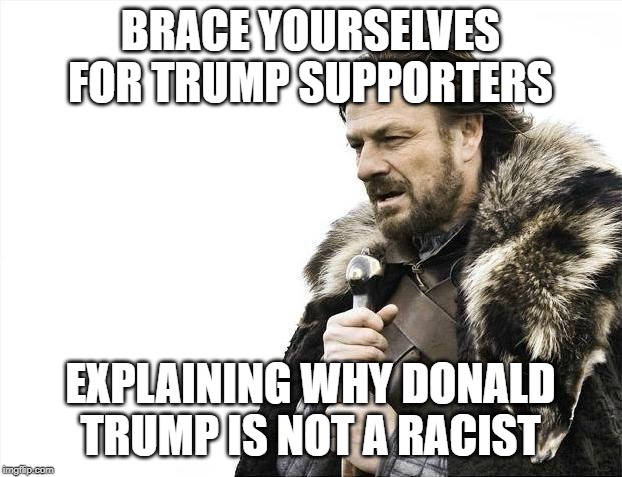 Brace Yourselves X is Coming | BRACE YOURSELVES FOR TRUMP SUPPORTERS; EXPLAINING WHY DONALD TRUMP IS NOT A RACIST | image tagged in memes,brace yourselves x is coming | made w/ Imgflip meme maker