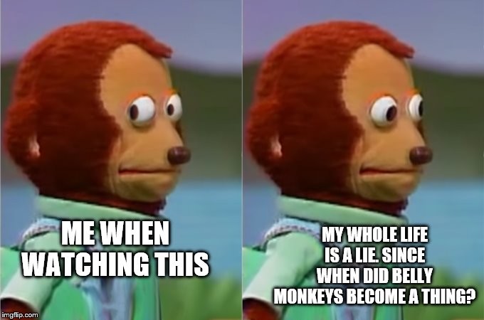 Monkey Puppet | ME WHEN WATCHING THIS MY WHOLE LIFE IS A LIE. SINCE WHEN DID BELLY MONKEYS BECOME A THING? | image tagged in monkey puppet | made w/ Imgflip meme maker