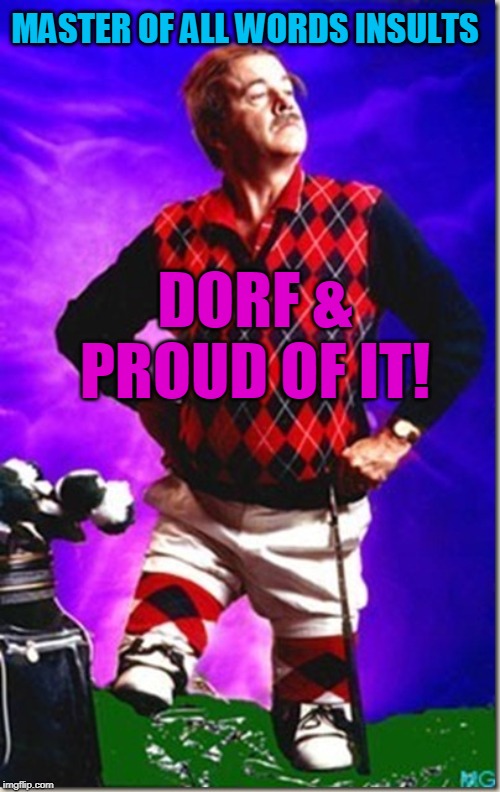 MASTER OF ALL WORDS INSULTS; DORF & PROUD OF IT! | made w/ Imgflip meme maker