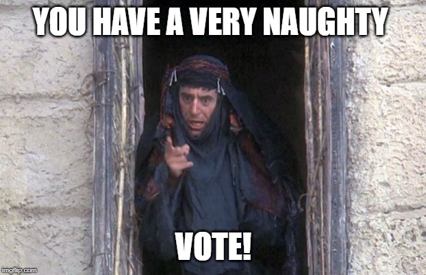 Life Of Brian  | YOU HAVE A VERY NAUGHTY VOTE! | image tagged in life of brian | made w/ Imgflip meme maker