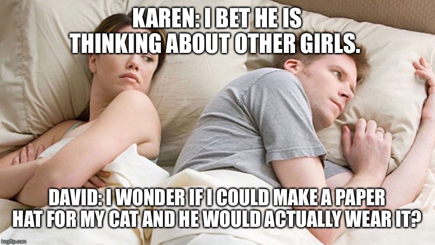 I bet he is thinking | KAREN: I BET HE IS THINKING ABOUT OTHER GIRLS. DAVID: I WONDER IF I COULD MAKE A PAPER HAT FOR MY CAT AND HE WOULD ACTUALLY WEAR IT? | image tagged in i bet he is thinking | made w/ Imgflip meme maker
