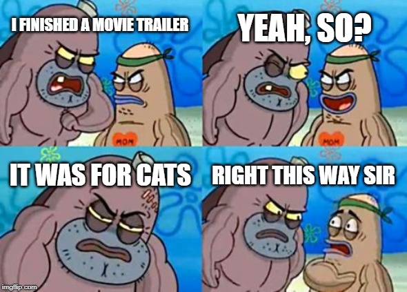 How Tough Are You | YEAH, SO? I FINISHED A MOVIE TRAILER; IT WAS FOR CATS; RIGHT THIS WAY SIR | image tagged in memes,how tough are you | made w/ Imgflip meme maker