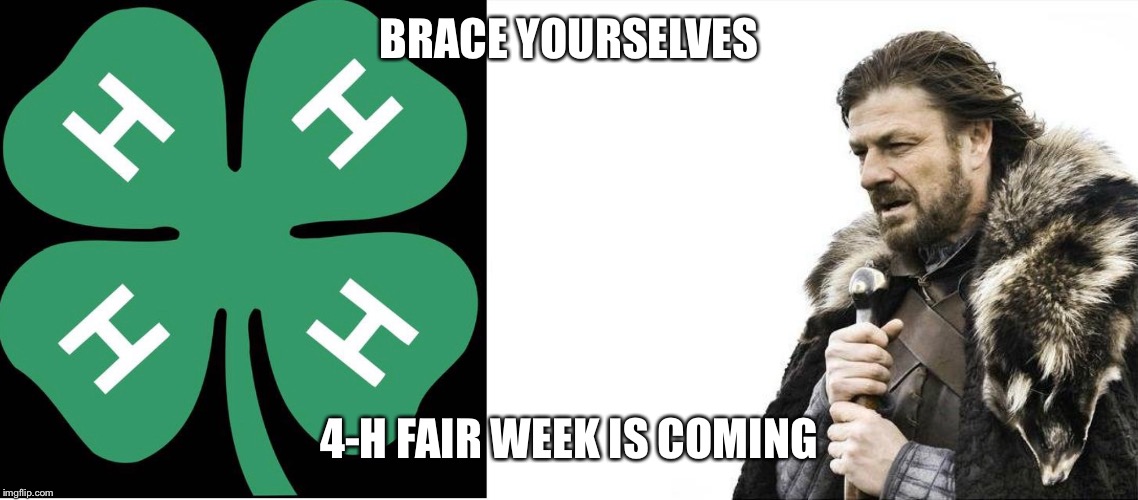 BRACE YOURSELVES; 4-H FAIR WEEK IS COMING | image tagged in memes,brace yourselves x is coming | made w/ Imgflip meme maker