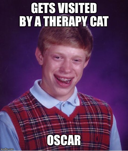 “Dearly beloved, we are gathered here today, on this beautiful autumn morning, to pay our last respects to Brian Krakowski...” | GETS VISITED BY A THERAPY CAT; OSCAR | image tagged in memes,bad luck brian | made w/ Imgflip meme maker