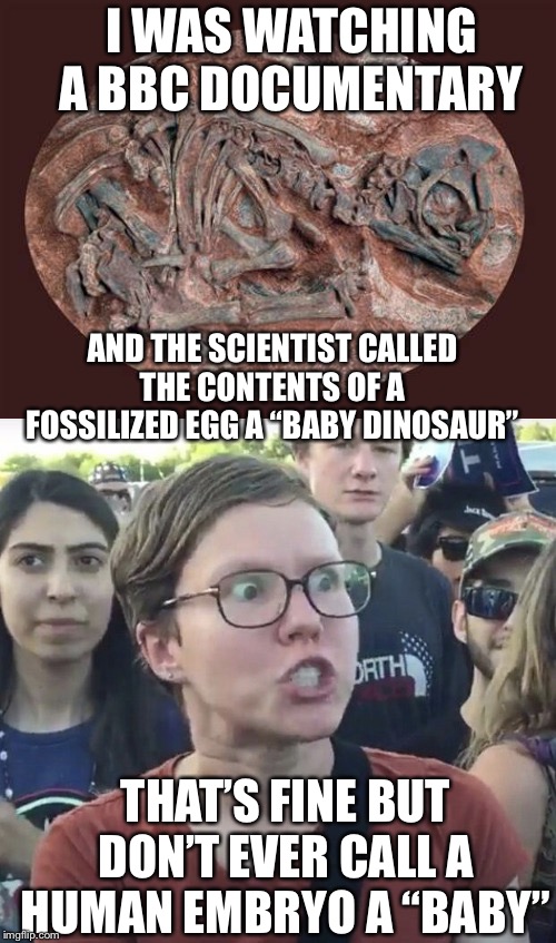 Do you ever feel like people treat animals with more respect than humans? | I WAS WATCHING A BBC DOCUMENTARY; AND THE SCIENTIST CALLED THE CONTENTS OF A FOSSILIZED EGG A “BABY DINOSAUR”; THAT’S FINE BUT DON’T EVER CALL A HUMAN EMBRYO A “BABY” | image tagged in triggered feminist,memes,not another abortion meme | made w/ Imgflip meme maker