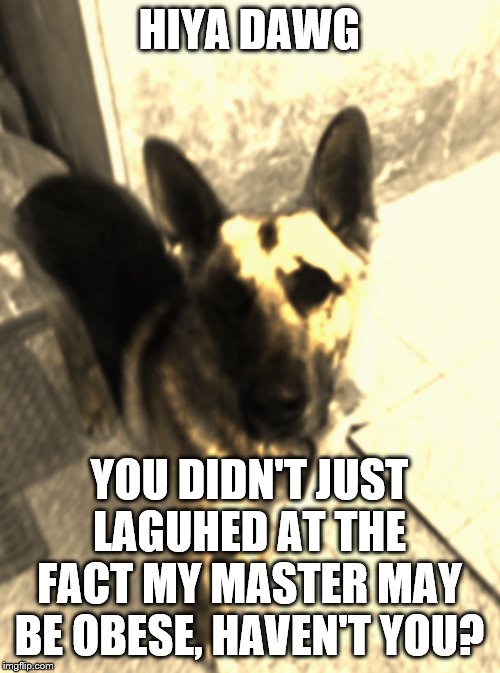 HIYA DAWG YOU DIDN'T JUST LAGUHED AT THE FACT MY MASTER MAY BE OBESE, HAVEN'T YOU? | made w/ Imgflip meme maker