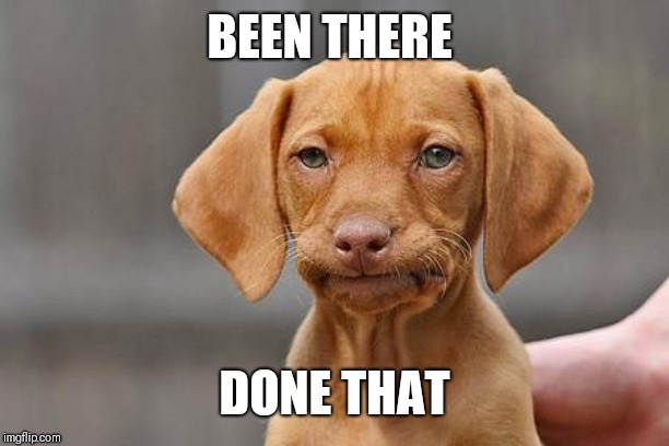 Dissapointed puppy | BEEN THERE DONE THAT | image tagged in dissapointed puppy | made w/ Imgflip meme maker