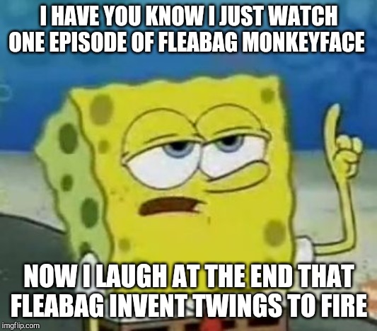 The Example For
Fleabag Monkeyface | I HAVE YOU KNOW I JUST WATCH ONE EPISODE OF FLEABAG MONKEYFACE; NOW I LAUGH AT THE END THAT FLEABAG INVENT TWINGS TO FIRE | image tagged in memes,ill have you know spongebob | made w/ Imgflip meme maker