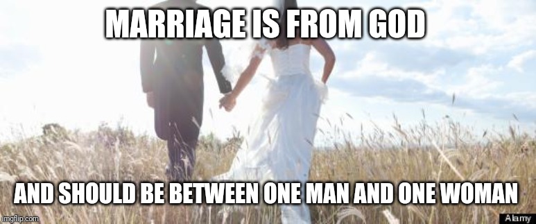 Marriage | MARRIAGE IS FROM GOD; AND SHOULD BE BETWEEN ONE MAN AND ONE WOMAN | image tagged in marriage | made w/ Imgflip meme maker