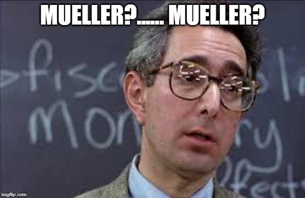 Ferris Bueller Ben Stein | MUELLER?...... MUELLER? | image tagged in ferris bueller ben stein | made w/ Imgflip meme maker