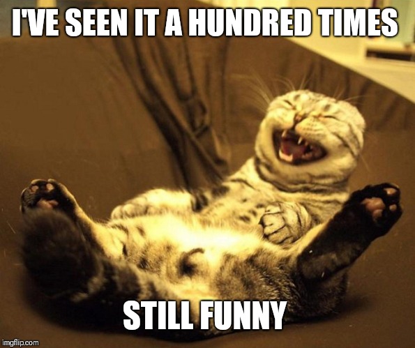 laughing cat | I'VE SEEN IT A HUNDRED TIMES STILL FUNNY | image tagged in laughing cat | made w/ Imgflip meme maker