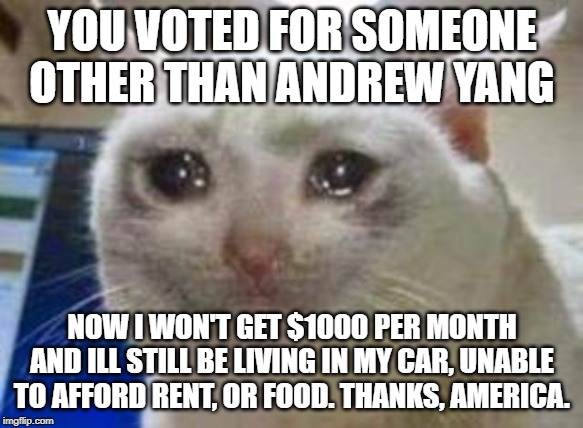 Sad cat | YOU VOTED FOR SOMEONE OTHER THAN ANDREW YANG; NOW I WON'T GET $1000 PER MONTH AND ILL STILL BE LIVING IN MY CAR, UNABLE TO AFFORD RENT, OR FOOD. THANKS, AMERICA. | image tagged in sad cat | made w/ Imgflip meme maker