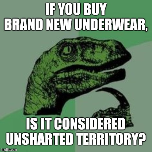 Over thinking clothes shopping. | IF YOU BUY BRAND NEW UNDERWEAR, IS IT CONSIDERED UNSHARTED TERRITORY? | image tagged in time raptor | made w/ Imgflip meme maker