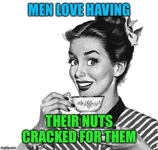 Retro woman teacup | MEN LOVE HAVING THEIR NUTS CRACKED FOR THEM | image tagged in retro woman teacup | made w/ Imgflip meme maker