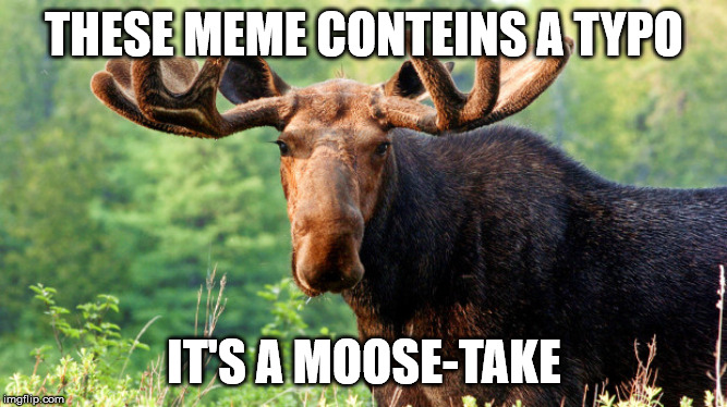 Moo goes the moose! | THESE MEME CONTEINS A TYPO; IT'S A MOOSE-TAKE | image tagged in moose,typo,typos,mistake,memes,funny | made w/ Imgflip meme maker