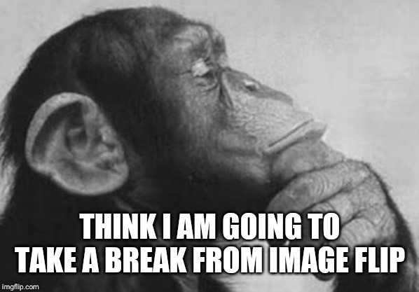 Monkey Rodin Thinker | THINK I AM GOING TO TAKE A BREAK FROM IMAGE FLIP | image tagged in monkey rodin thinker | made w/ Imgflip meme maker