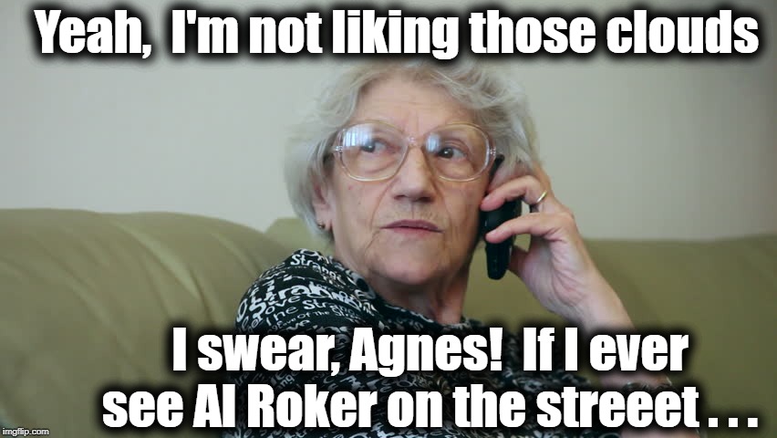 Yeah,  I'm not liking those clouds I swear, Agnes!  If I ever see Al Roker on the streeet . . . | made w/ Imgflip meme maker