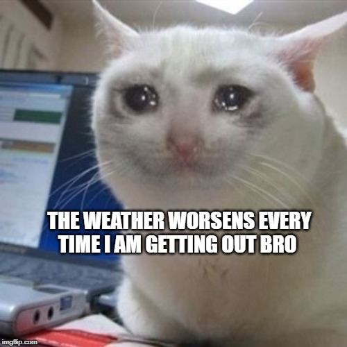 THE WEATHER WORSENS EVERY TIME I AM GETTING OUT BRO | image tagged in cryingcat | made w/ Imgflip meme maker