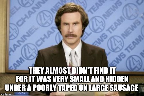 Ron Burgundy Meme | THEY ALMOST DIDN'T FIND IT FOR IT WAS VERY SMALL AND HIDDEN UNDER A POORLY TAPED ON LARGE SAUSAGE | image tagged in memes,ron burgundy | made w/ Imgflip meme maker