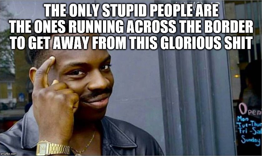 Good idea bad idea | THE ONLY STUPID PEOPLE ARE THE ONES RUNNING ACROSS THE BORDER TO GET AWAY FROM THIS GLORIOUS SHIT | image tagged in good idea bad idea | made w/ Imgflip meme maker