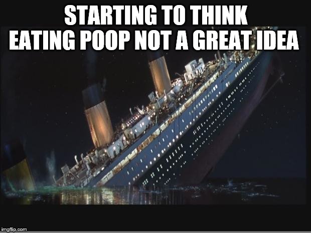 Titanic Sinking | STARTING TO THINK EATING POOP NOT A GREAT IDEA | image tagged in titanic sinking | made w/ Imgflip meme maker
