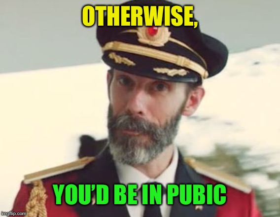 Captain Obvious | OTHERWISE, YOU’D BE IN PUBIC | image tagged in captain obvious | made w/ Imgflip meme maker