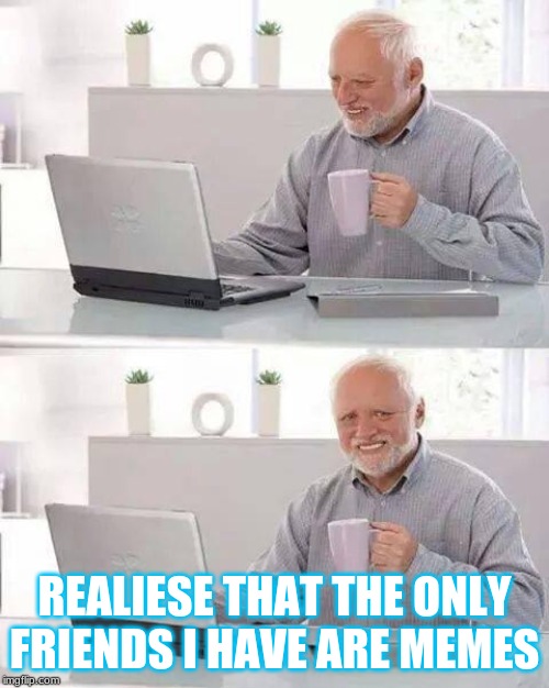 Hide the Pain Harold Meme | REALIESE THAT THE ONLY FRIENDS I HAVE ARE MEMES | image tagged in memes,hide the pain harold | made w/ Imgflip meme maker