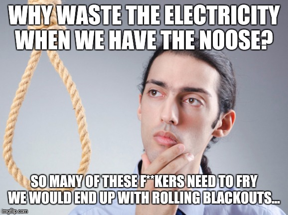 noose | WHY WASTE THE ELECTRICITY WHEN WE HAVE THE NOOSE? SO MANY OF THESE F**KERS NEED TO FRY WE WOULD END UP WITH ROLLING BLACKOUTS... | image tagged in noose | made w/ Imgflip meme maker