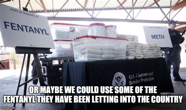 OR MAYBE WE COULD USE SOME OF THE FENTANYL THEY HAVE BEEN LETTING INTO THE COUNTRY | made w/ Imgflip meme maker